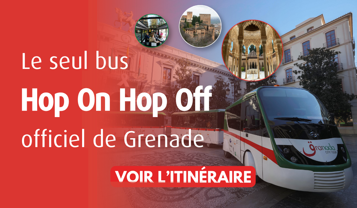 Le seul train touristique officiel Hop on Hop Off de Grenade.
