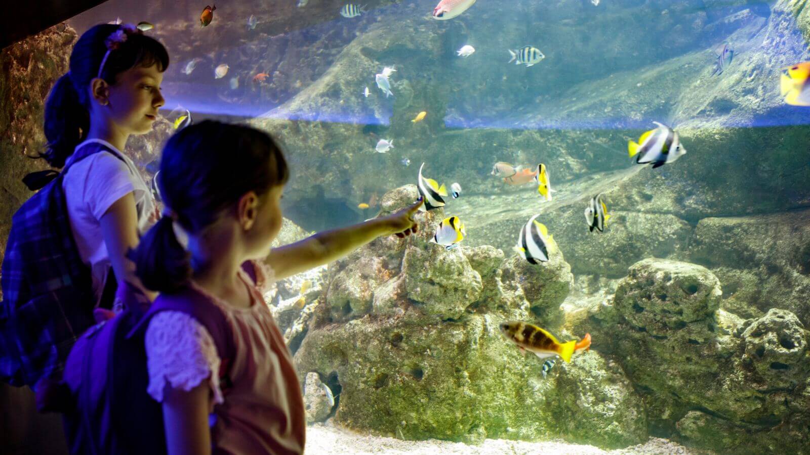 Aquarium%20BCN_Canva_2022%20(1).jpg