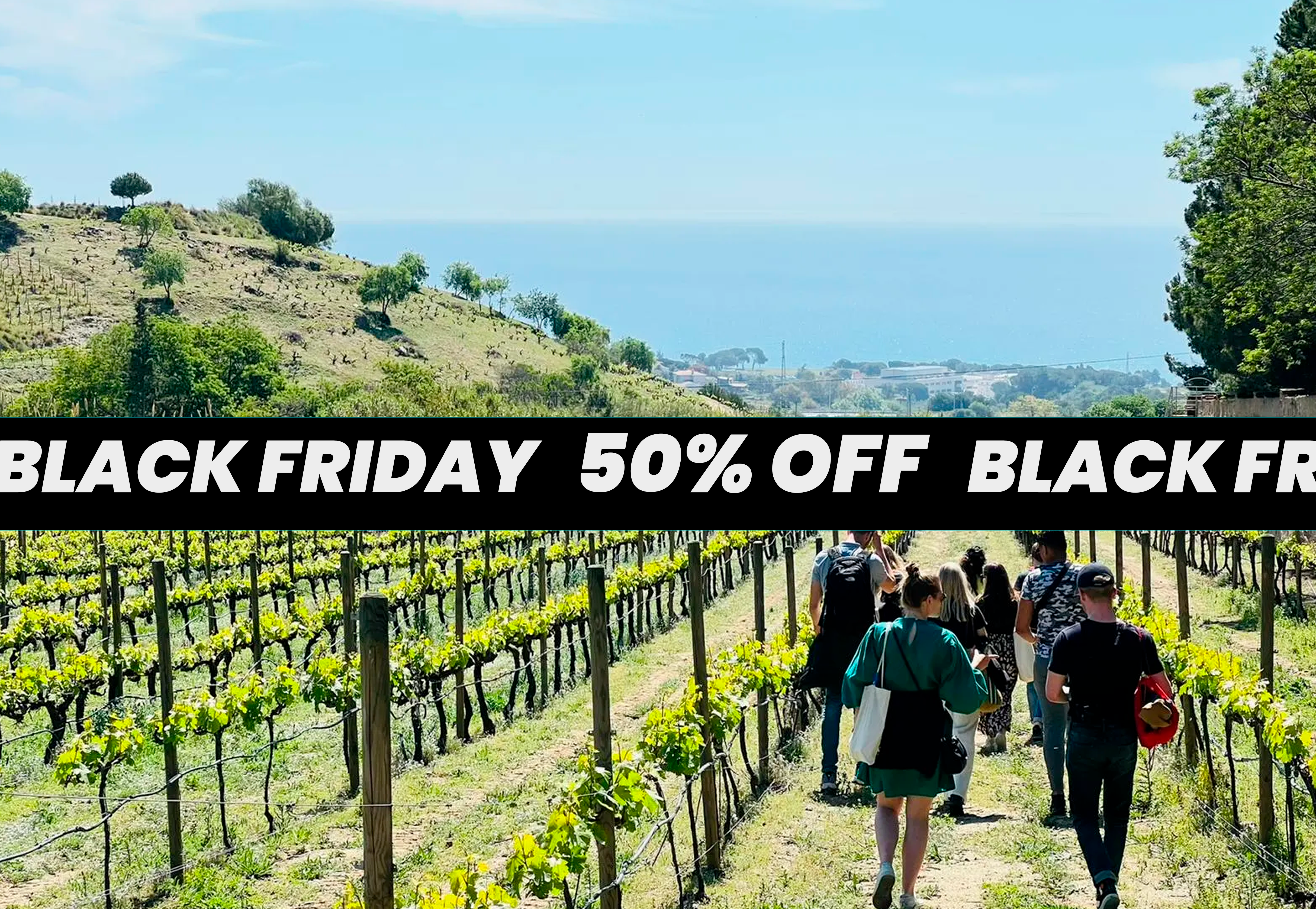Black Friday: Tour de navegación y cata de vinos 81796