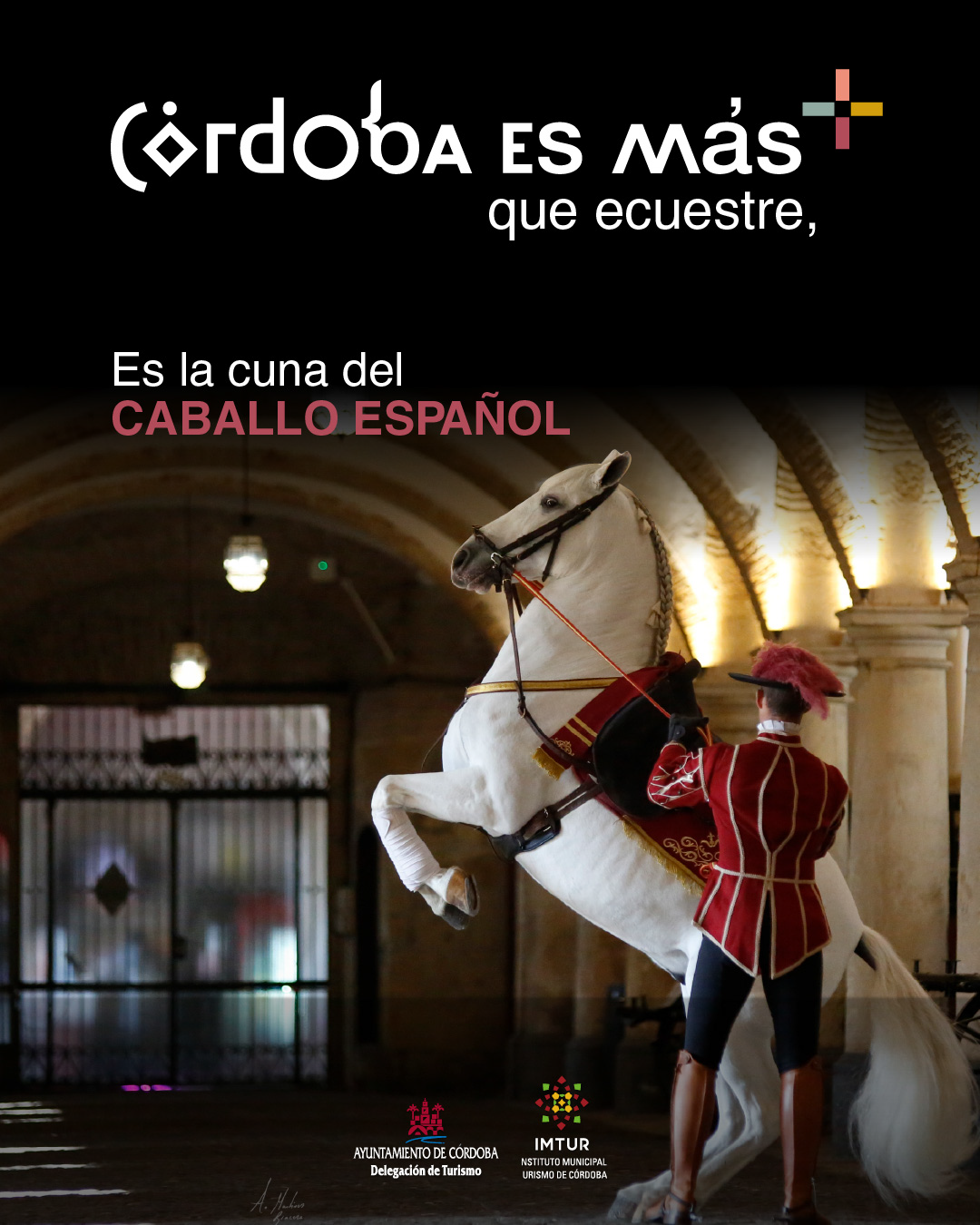 Advertising banner – Córdoba is the birthplace of the Spanish horse