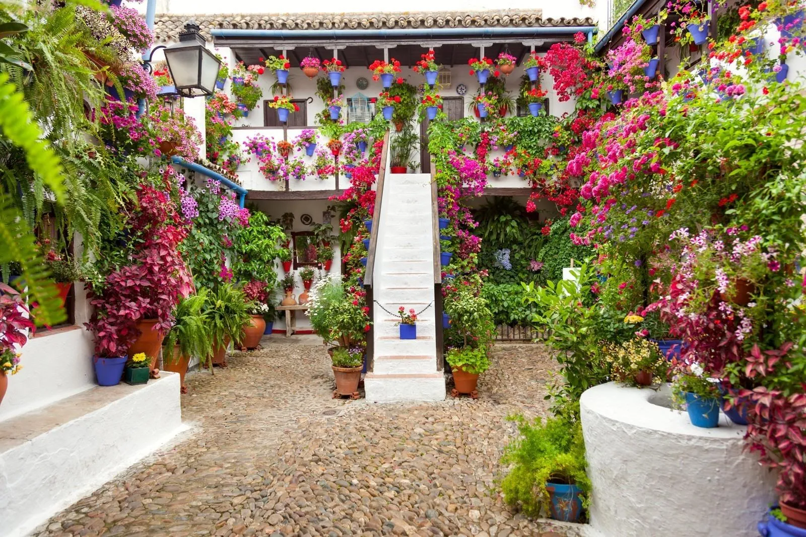 Image of an Andalusian courtyard with flowers