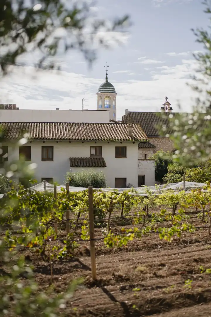 Excursión con paella a Malvasía Sitges