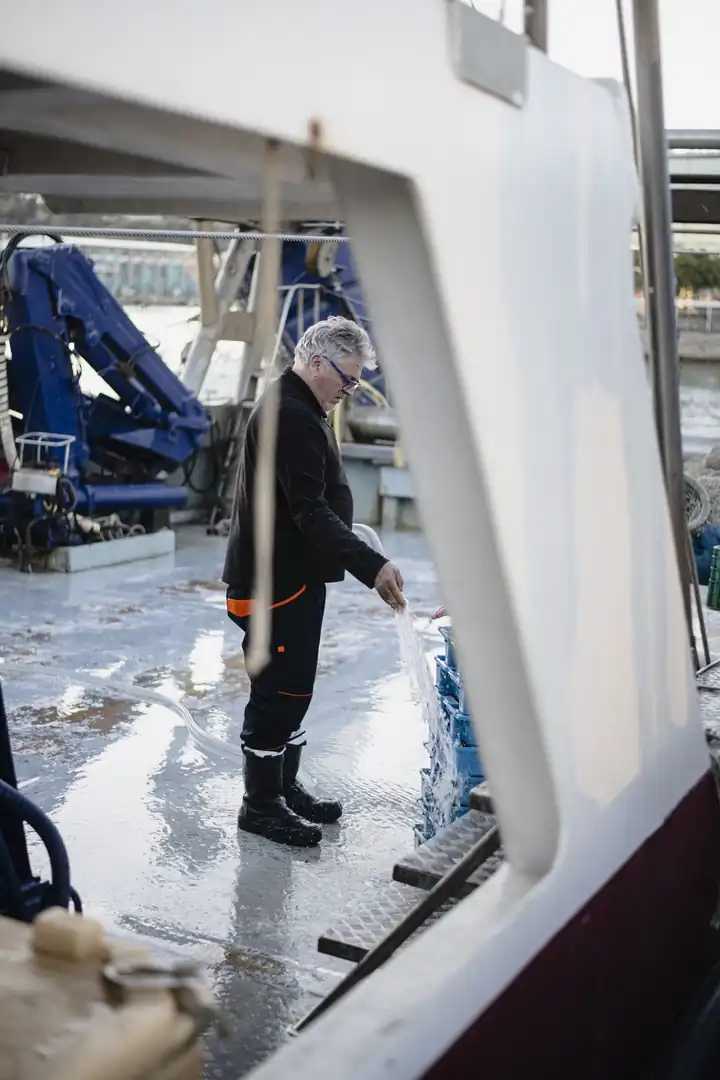 Visita guiada a la Lonja de Pescadores en barco