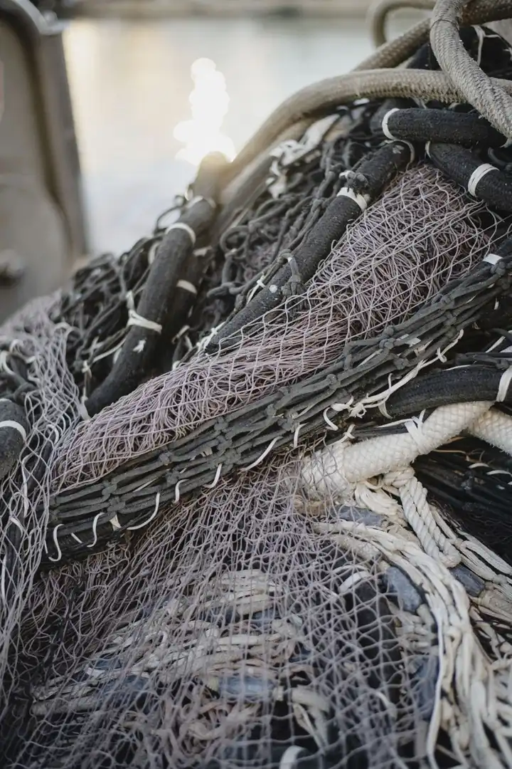 Visita guiada a la Lonja de Pescadores en barco