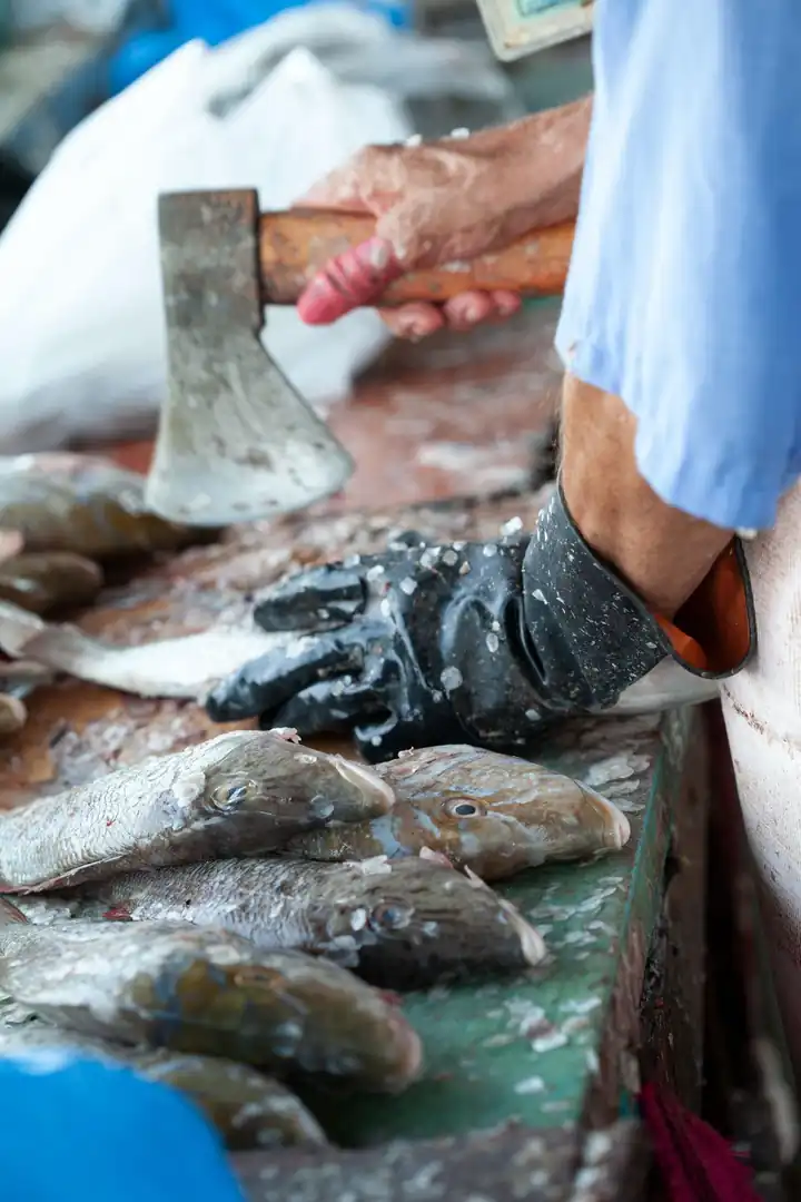 Visita guiada a la Lonja de Pescadores en barco