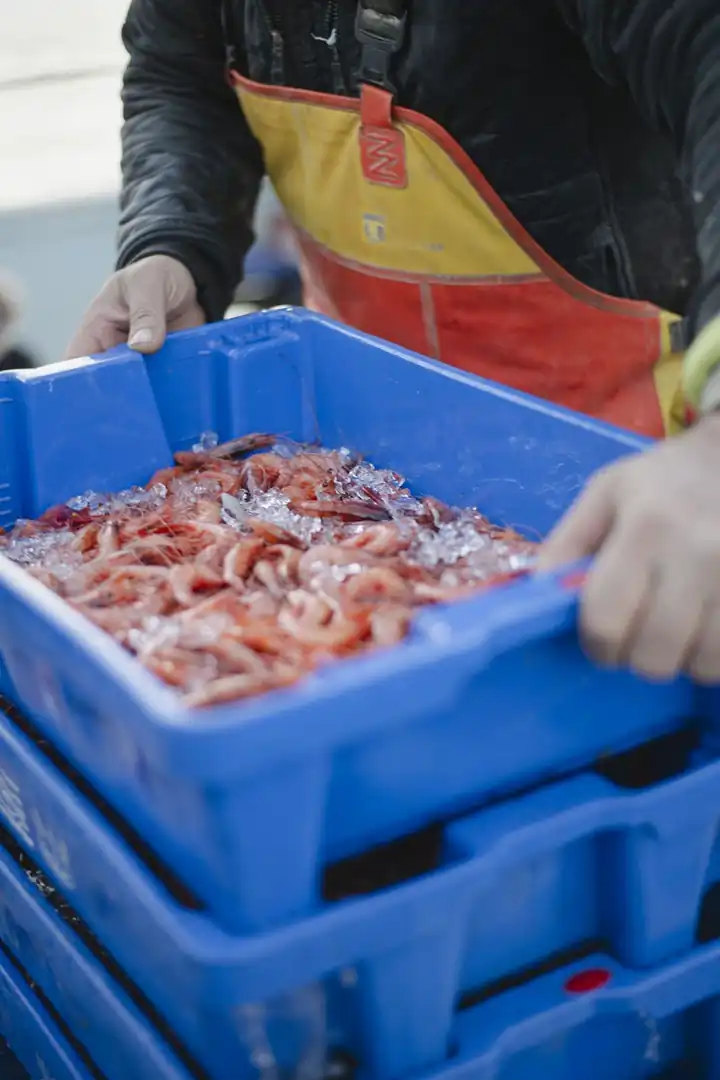 Visita guiada a la Lonja de Pescadores en barco